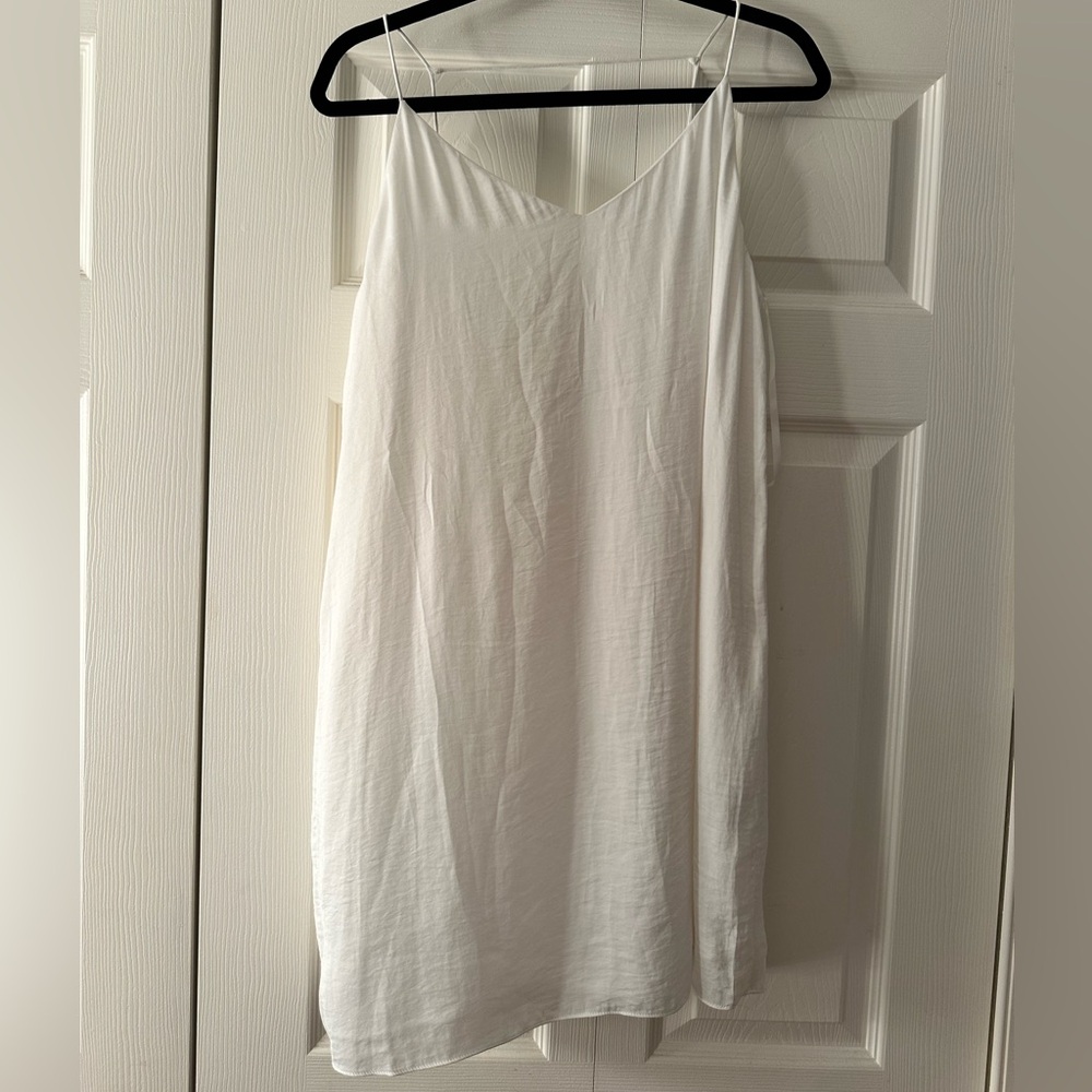 NWT Naked Zebra Dress